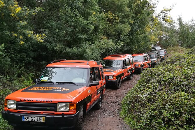Jeep Safari Câmara de Lobos Cabo Girão Half Day Tour - Who will get the most from this outing