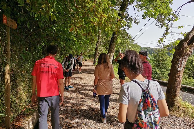 Jeep Safari in Pico Areeiro Santana Faial Full Day Tour - Key points at a glance