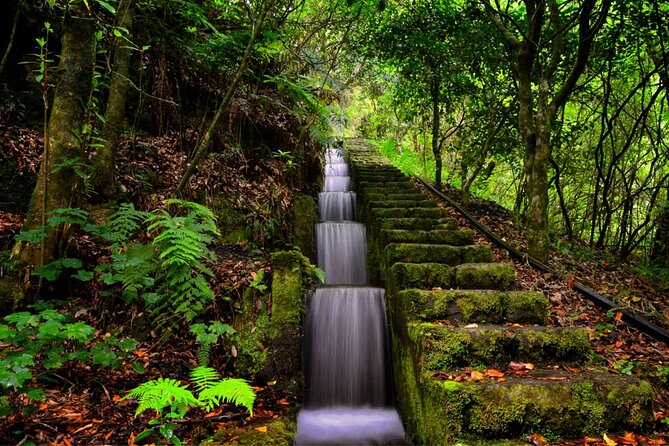 Jeep Safari in Pico Areeiro Santana Faial Full Day Tour - Ribeiro Frio adds a short walk and forest air