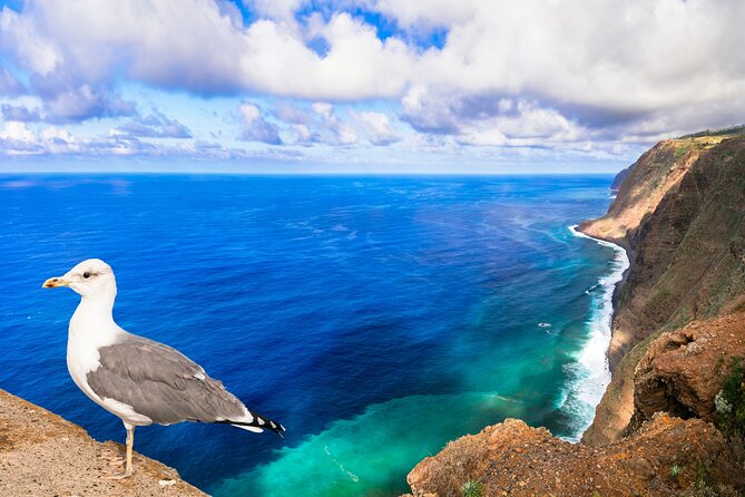 Jeep Safari in Southwest, Calheta and Ponta do Sol Full Day Tour - Calheta combines lunch with a useful coastal break