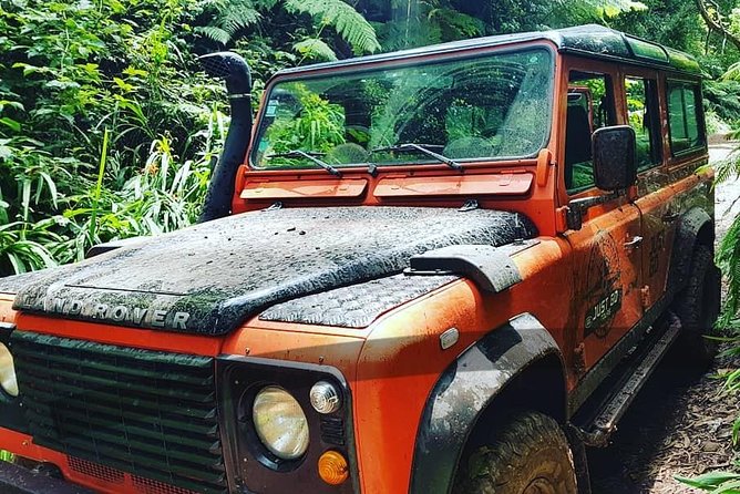 Jeep Tour To Santana: Old Forest Full-Day East-Side - Why this Jeep day works for first-time Madeira visitors