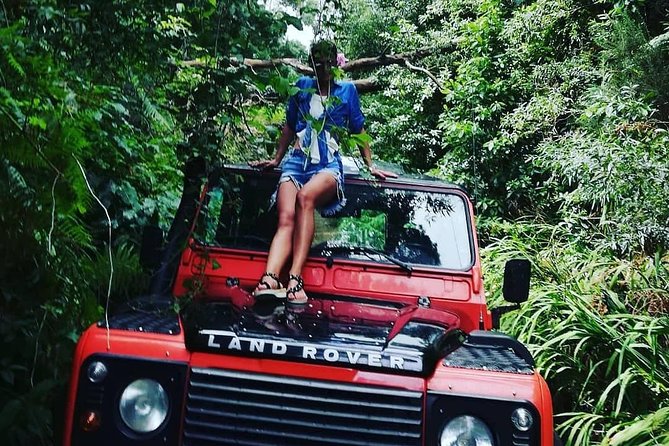 Jeep Tour To Santana: Old Forest Full-Day East-Side - Ribeiro Frio brings forest, ferns, and a short walk