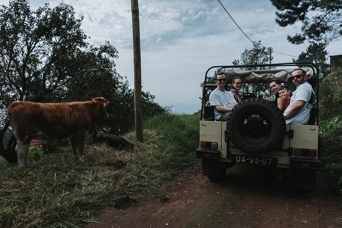 Jeep Tour To ,(Skywalk, Seixal, Porto Moniz, Fanal) - A small Jeep group makes the day easier