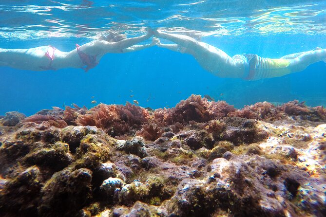 Kayak and Snorkeling Tour in Underwater Nature Reserve Garajau - Is $59.26 a fair price?