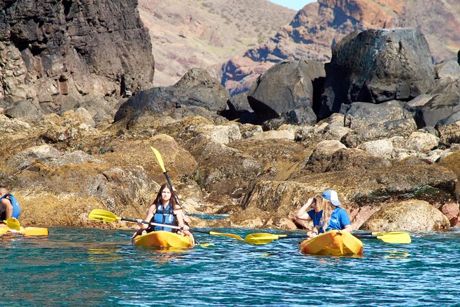 Kayak Experience @ Ponta de São Lourenço - How the two-hour timing really works