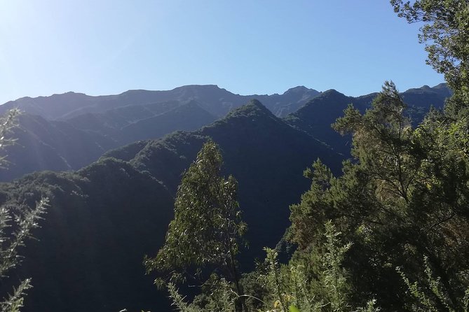 Kings Levada - São Jorge - A guided walk with more than scenery