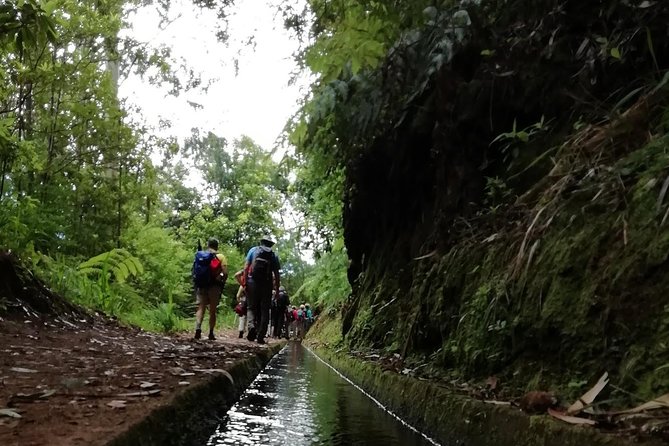 Kings Levada - São Jorge - The pauses that shape the morning