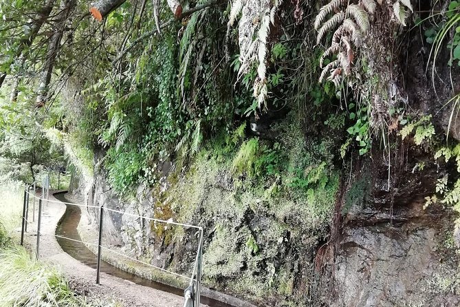 Kings Levada - São Jorge - How the $54.01 price works out
