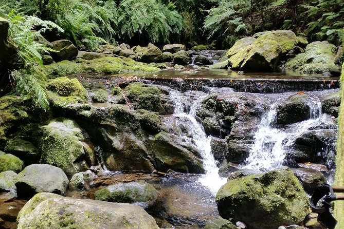 Kings Levada - São Jorge - Why the transport is worth paying for