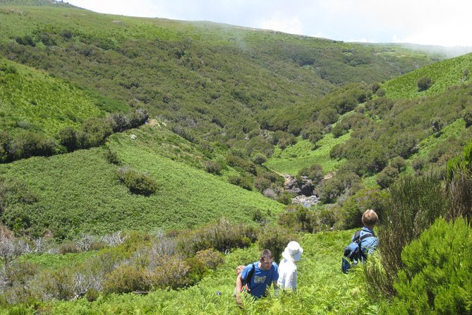 Lakes of Madeira- Alecrim Full day walk - A closer look at the walk