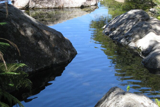 Lakes of Madeira- Alecrim Full day walk - Is $52.05 a fair price?