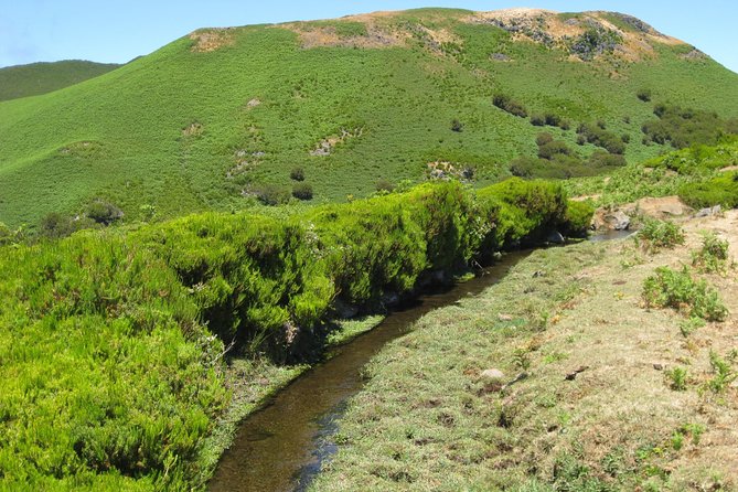 Lakes of Madeira- Alecrim Full day walk - Pickup makes the morning easier