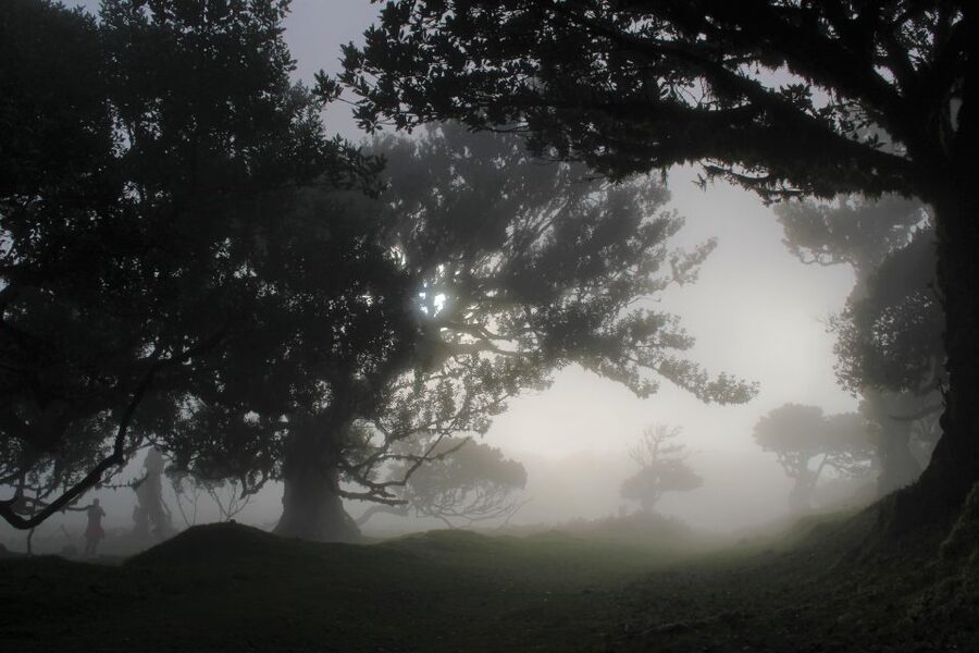Let-Me-Surprise-You Madeira Full Day Private Tour - A Madeira day built around the weather
