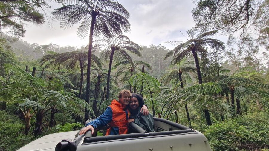 Let-Me-Surprise-You Madeira Full Day Private Tour - What your eight hours may include