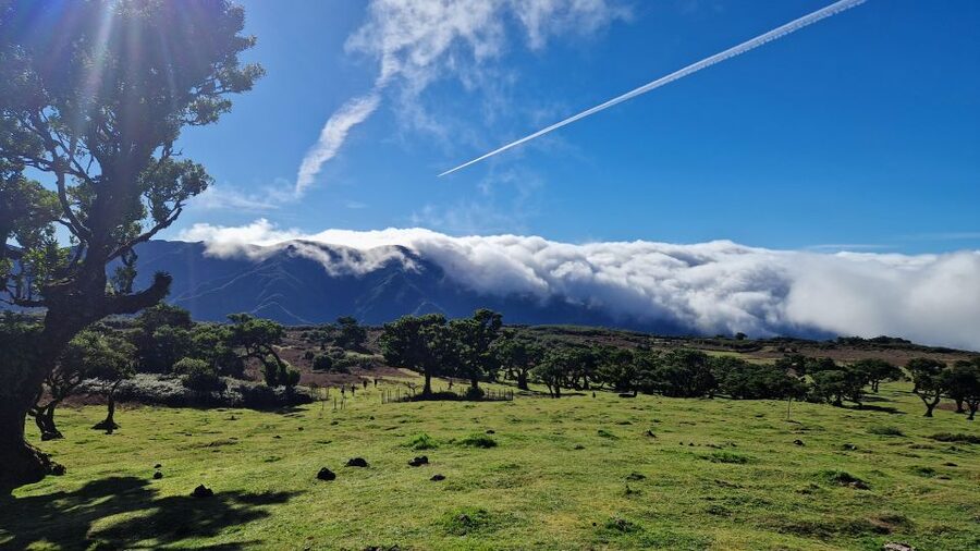 Let-Me-Surprise-You Madeira Full Day Private Tour - Should you book the Let-Me-Surprise-You Madeira tour?