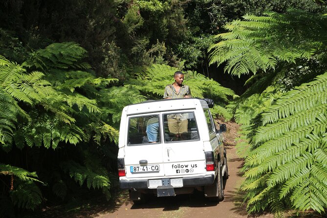 Let-Me-Surprise-You Private Full-Day Tour in All Terrain Vehicle - Forest roads, waterfalls, and old routes