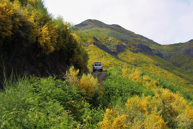 Let-Me-Surprise-You Private Full-Day Tour in All Terrain Vehicle - How the vehicles affect your comfort