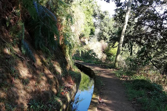 Levada da Referta - Castelejo - Why the Levada da Referta makes a good first walk
