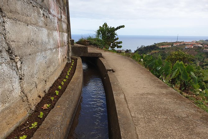 Levada da Referta - Castelejo - The café stop and Madeira flavors