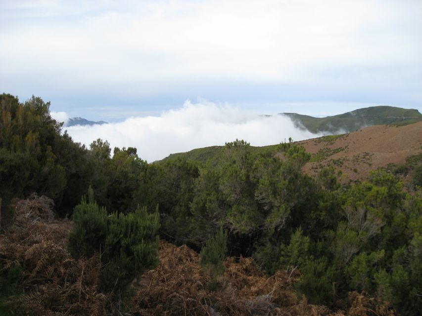 Levada do Alecrim (Madeira Lakes) Full-day walk - Why Levada do Alecrim feels different from an ordinary Madeira walk