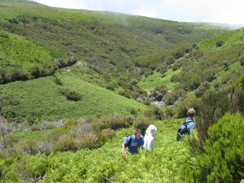 Levada do Alecrim (Madeira Lakes) Full-day walk - The cold mountain swim