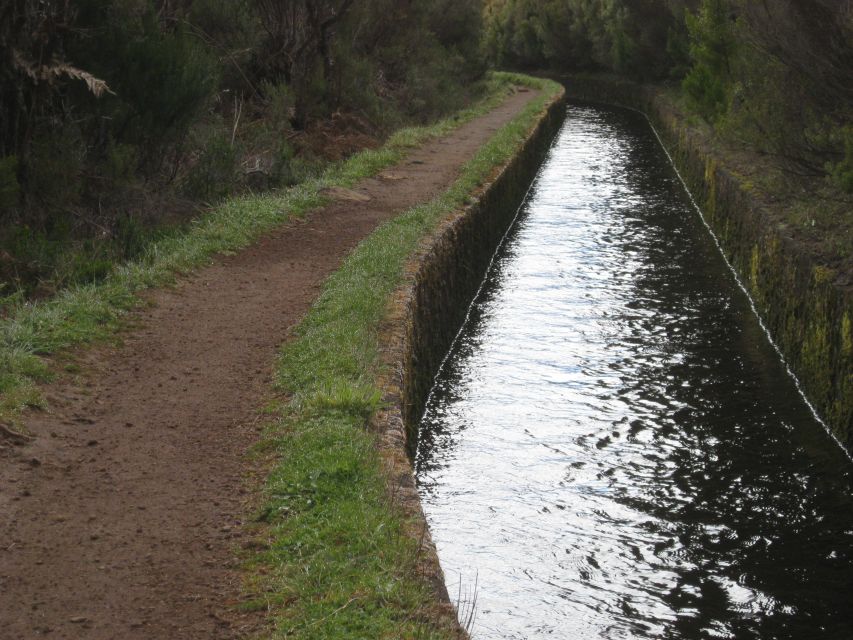 Levada do Alecrim (Madeira Lakes) Full-day walk - Guide quality and the value of local explanation