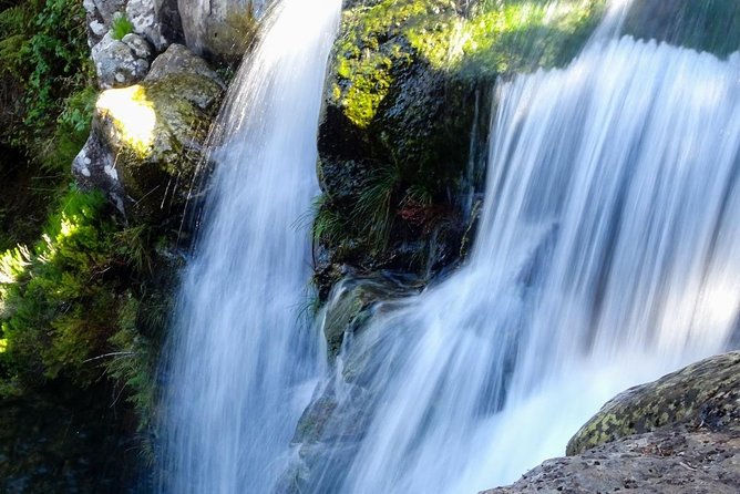 Levada do Alecrim - Rosemary Levada (Full Day Walk) - Key points to know before booking