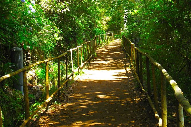 Levada do Caldeirão Verde Levada Walk from Funchal - Why Caldeirão Verde makes such a memorable Madeira walk