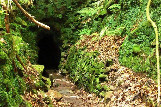Levada do Caldeirão Verde Levada Walk from Funchal - From Queimadas into the ancient forest