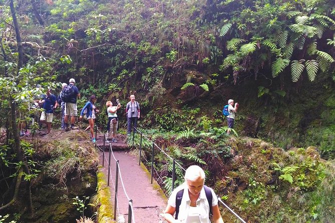 Levada do Caldeirão Verde Levada Walk from Funchal - What the eight-hour schedule really means
