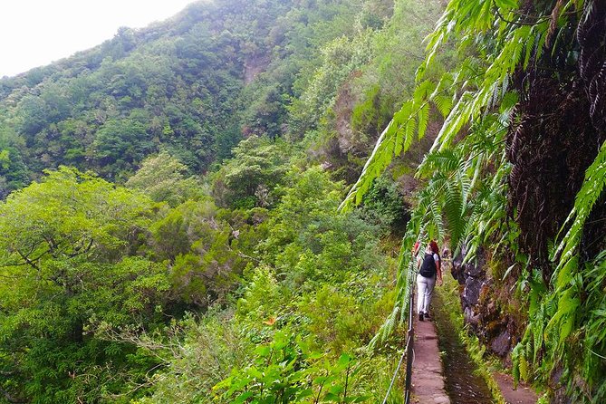 Levada do Caldeirão Verde Levada Walk from Funchal - Guides, group care, and the human side of the walk