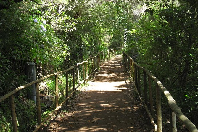 Levada do Caldeirão Verde Levada Walk from Funchal - Four tunnels where your flashlight earns its place