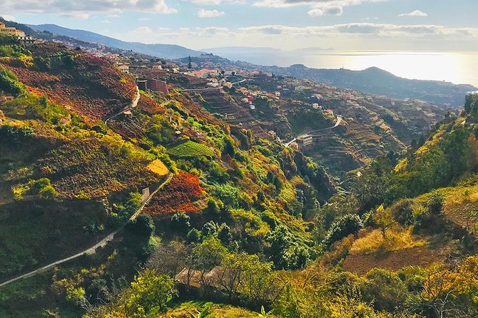 Levada do Norte - Walking Tour - Key points to know before you book