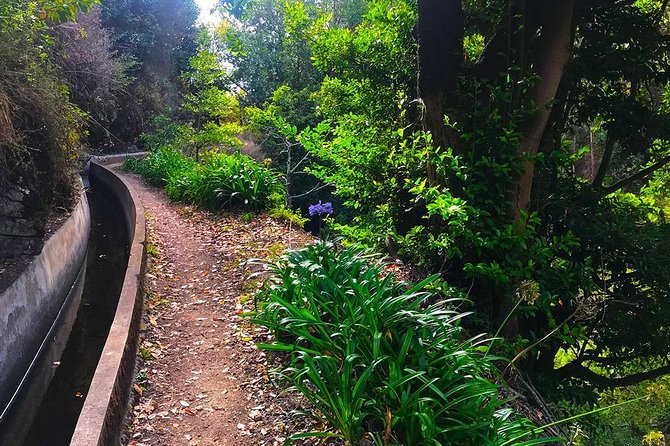 Levada do Norte - Walking Tour - Why a guide helps on this particular path