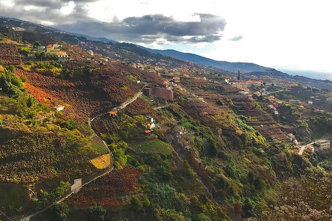 Levada do Norte - Walking Tour - Pickup, transport, and the half-day question