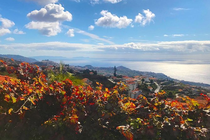 Levada do Norte - Walking Tour - Is $38.40 a fair price?