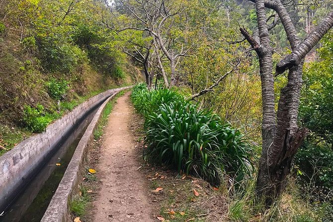 Levada do Norte - Walking Tour - Practical ways to get more from the morning
