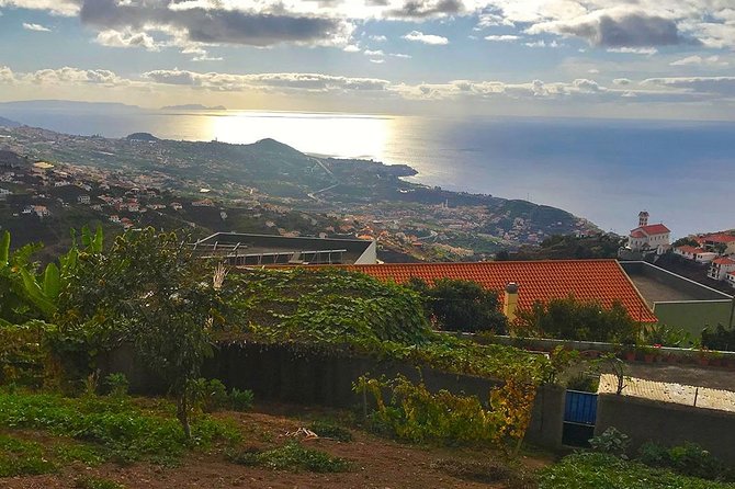 Levada do Norte - Walking Tour - What the two-hour walk is really like