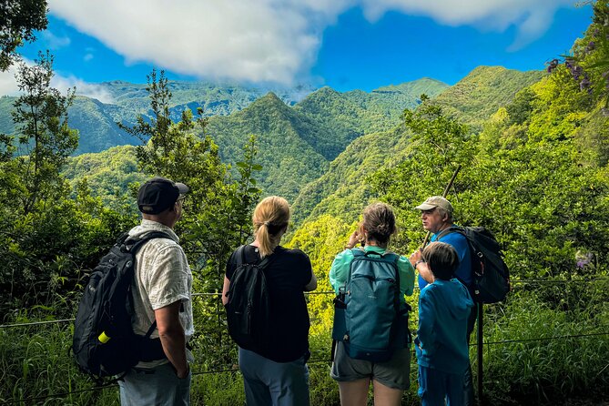 Levada do Rei (PR18) - Through Madeira's Majestic Laurissilva - Key points to know before you book