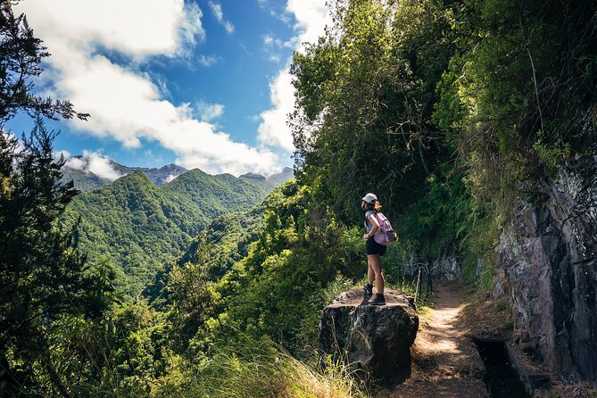 Levada do Rei (PR18) - Through Madeira's Majestic Laurissilva - Following the water into Madeira’s ancient forest