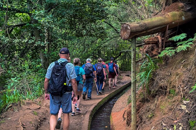 Levada do Rei (PR18) - Through Madeira's Majestic Laurissilva - Guides who shape the day