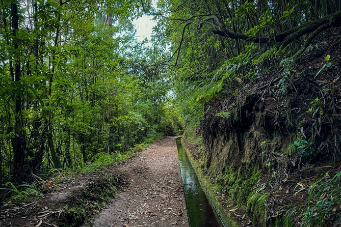 Levada do Rei (PR18) - Through Madeira's Majestic Laurissilva - Weather, fitness, and what to pack