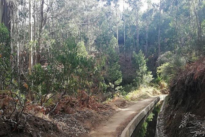 Levada Serra D´Agua - Key points to know before you book