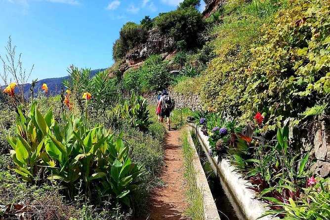 Levada Serra D´Agua - What the guides add to the morning