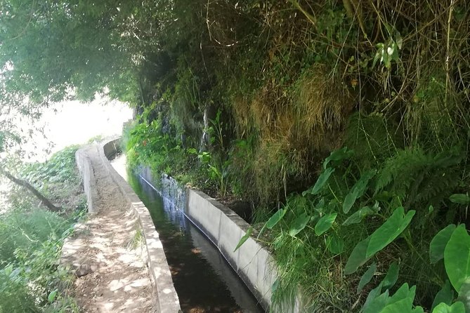 Levada Serra D´Agua - The 8:45 am pickup and the ride to Serra D’Agua