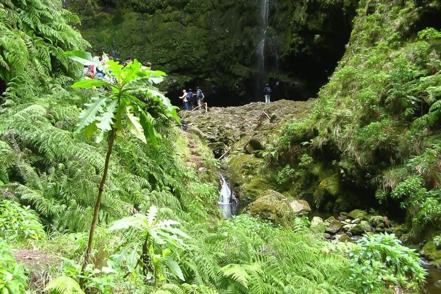 Levada Walk and Caldeirao Verde Waterfalls: Madeira - Key points before you book