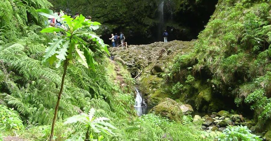 Levada Walk and Caldeirao Verde Waterfalls: Madeira - Starting at Queimadas Forest Park