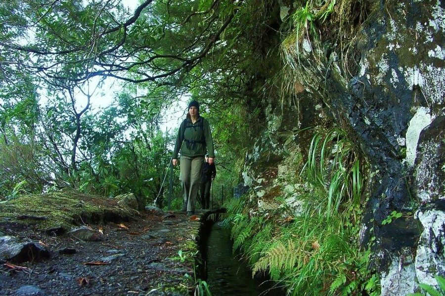 Levada Walk and Caldeirao Verde Waterfalls: Madeira - The tunnels require care, not courage