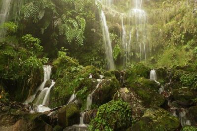 Levada Walk and Caldeirao Verde Waterfalls: Madeira