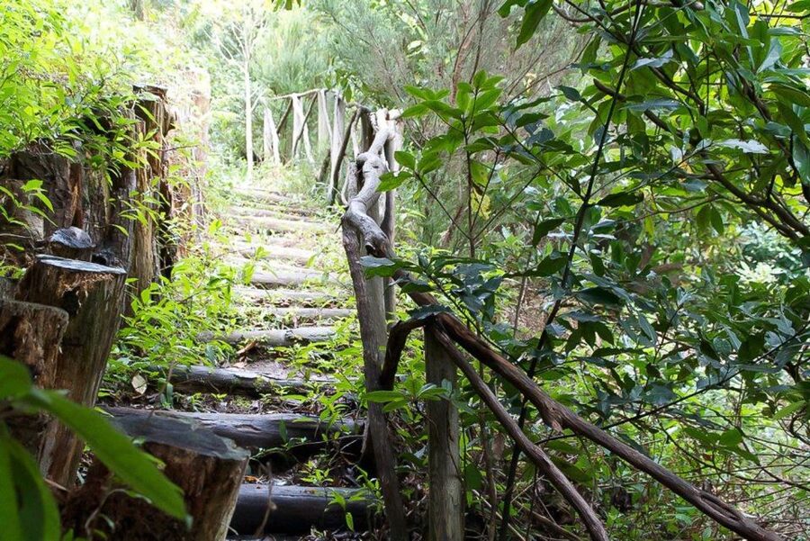 Levada Walk and Caldeirao Verde Waterfalls: Madeira - Reaching the Verde lagoon and waterfall